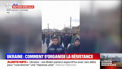 Comment la résistance s'organise-t-elle en Ukraine ?