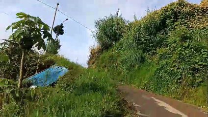 Kenangan di Kaki Langit