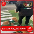 الداخلية الكويتية تعلن اتخاذ إجراءات ضد سيدة ألبست كلبها 