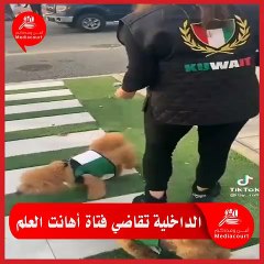 الداخلية الكويتية تعلن اتخاذ إجراءات ضد سيدة ألبست كلبها "علم الكويت"