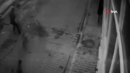 Köpeğini gezdirirken dehşeti yaşadı