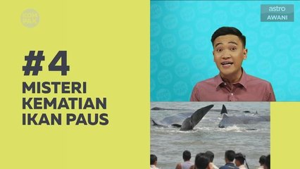 Kompak (Episod 118): Misteri kematian ikan paus