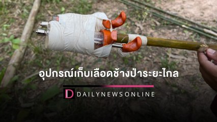สำเร็จเป็นครั้งแรก! พัฒนาเทคนิค-อุปกรณ์เก็บตัวอย่างเลือดช้างป่าระยะไกล | HOTSHOT เดลินิวส์ 28/02/65