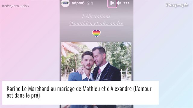 Mathieu et Alexandre (L'amour est dans le pré) bouleversés par une petite puce en Ukraine...