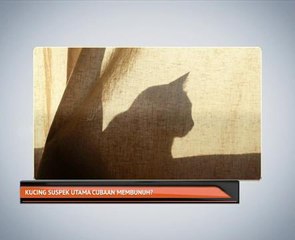 Kucing suspek utama cubaan membunuh