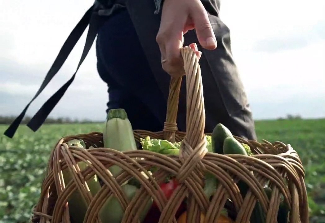 A person holding vegitable basket and walking in a field