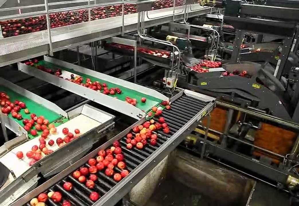 Apple fruit processing unit view factory setup
