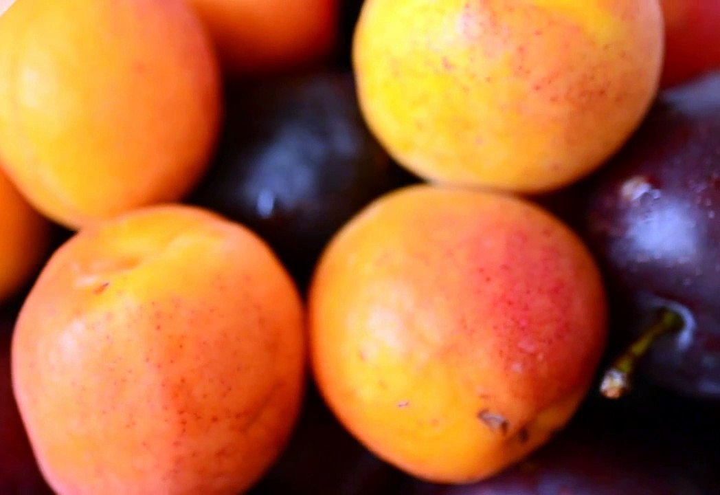 Apricot moving in round shape