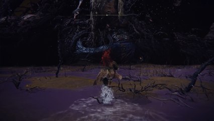 Elden Ring: Campeones de Fia