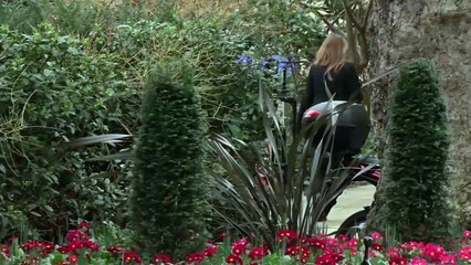 Cabinet meet at Downing St as Ukraine peace talks scheduled