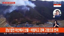 합천 산불 경북 고령까지 확산…국가위기경보 '심각' 발령