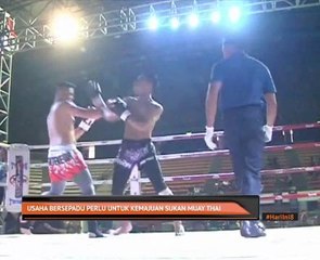 Usaha bersepadu perlu untuk kemajuan sukan Muay Thai