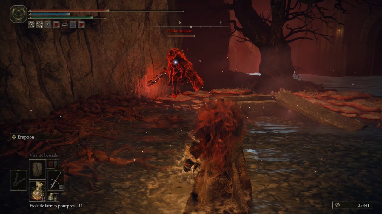 Elden Ring: Doom Shadow