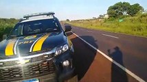 Carro de Jandaia do Sul capota na BR-376 em Apucarana; veja