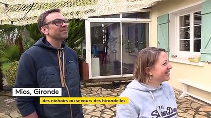À Mios en Gironde, les particuliers accueillent des nichoirs pour protéger les hirondelles