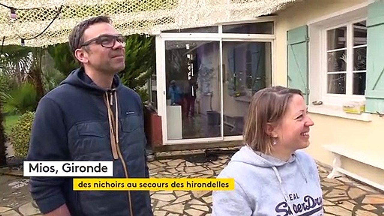 À Mios en Gironde, les particuliers accueillent des nichoirs pour protéger les hirondelles