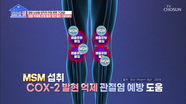 염증 물질 억제! 관절염 완화 돕는 ✧MSM✧ TV CHOSUN 20220228 방송