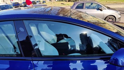 RECENSIONE TESLA MODEL 3 LONG RANGE: è lei la REGINA DELLE AUTO ELETTRICHE!