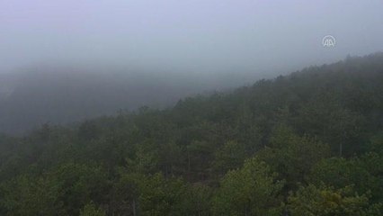 KASTAMONU - Sis ulaşımda aksamalara neden oluyor