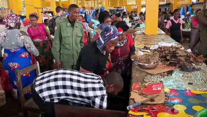 استفادة مزدوجة لصيد آكل النمل الحرشفي في ليبيريا