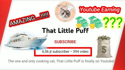 Amazing ...!!! How much does that Little Puff youtube earnings every month ???