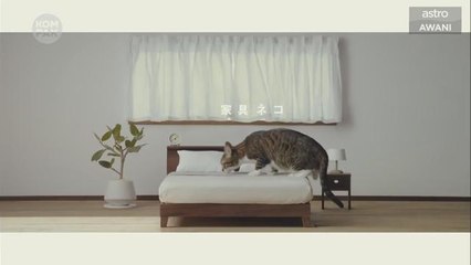 Kompak (Episod 70): Fenomena hujan batu, katil untuk si comel