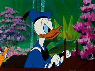 Don's Fountain Of Youth 1953