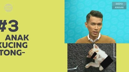 Kompak (Episod 61): Anak kucing mati dikerat & ‘lipas airlines’