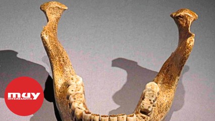 El enigma de los humanos del pleistoceno medio