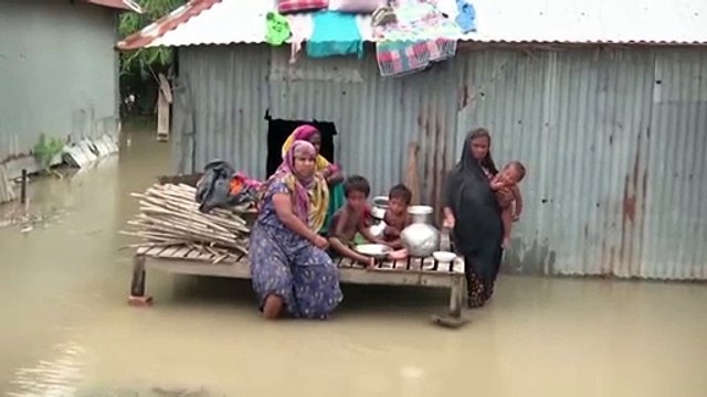 Il report delle Nazioni Unite: metà delle specie animali e vegetali a rischio estinzione