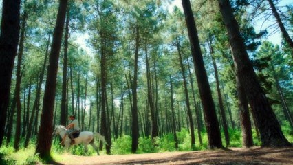 Venganza y Amor Capitulo 100 (Audio Español)   Cesur ve Güzel