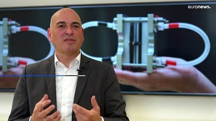 Batterie senza metalli pesanti: la ricerca è cominciata dopo il disastro di Fukushima