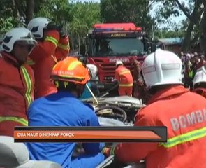 Dua maut dihempap pokok