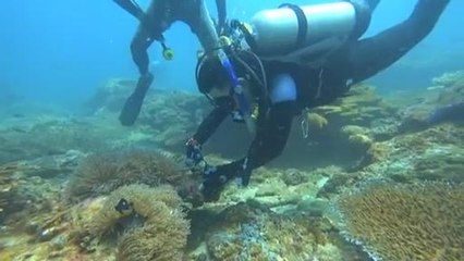 Eko Santai (Episod 8) S2: Mengekalkan kelestarian terumbu karang