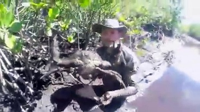 looking for big crabs, big big crabs