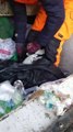 Des éboueurs sauvent des chatons jetés dans une poubelle