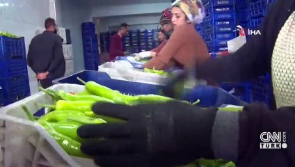 Rusya'nın Ukrayna’ya saldırısı