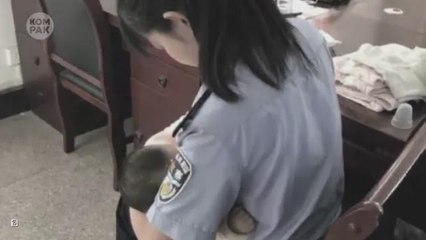 Kompak (Episod 28): Hilaian histeria, kucing berkuku merah jambu