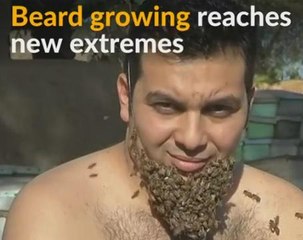 Egyptian man grows beard made out of bees