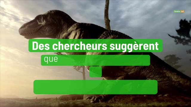 Des chercheurs suggèrent que le Tyrannosaurus avait 3 espèces distinctes
