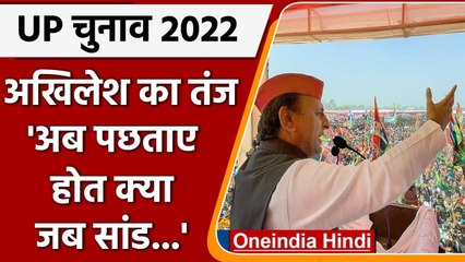 UP Elections 2022: Akhilesh Yadav का तंज, बोले- अब पछताए होत क्या जब सांड चर गए वोट | वनइंडिया हिंदी