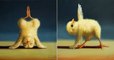 Cette artiste peint des poussins en train de faire du yoga, et le résultat est absolument génial