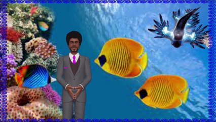 10 Amazing Great Awesome Facts About Blue Angel Sea Dragon