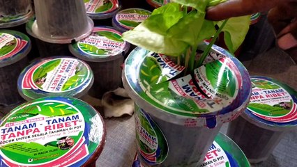 Media tanam tanpa ribet untuk tanaman dan bunga anda