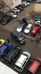 Cat Going for Surprise Ride Bails From Van and Gets Away