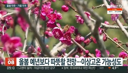"올봄 따뜻하지만 건조"…가뭄·산불 심화 우려