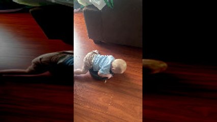 Ollie the Baby Loves Riding Our Roomba “Rhonda”