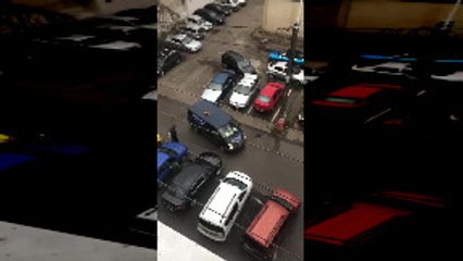 Cat Going for Surprise Ride Bails from Van and Gets Away