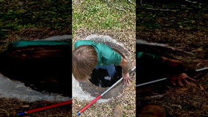 Injured Raccoon Rescued from Pipe