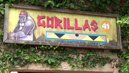 Descanse en paz Lamidydoc